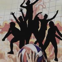 วอลเลย์บอลนิลุบลเกมส์