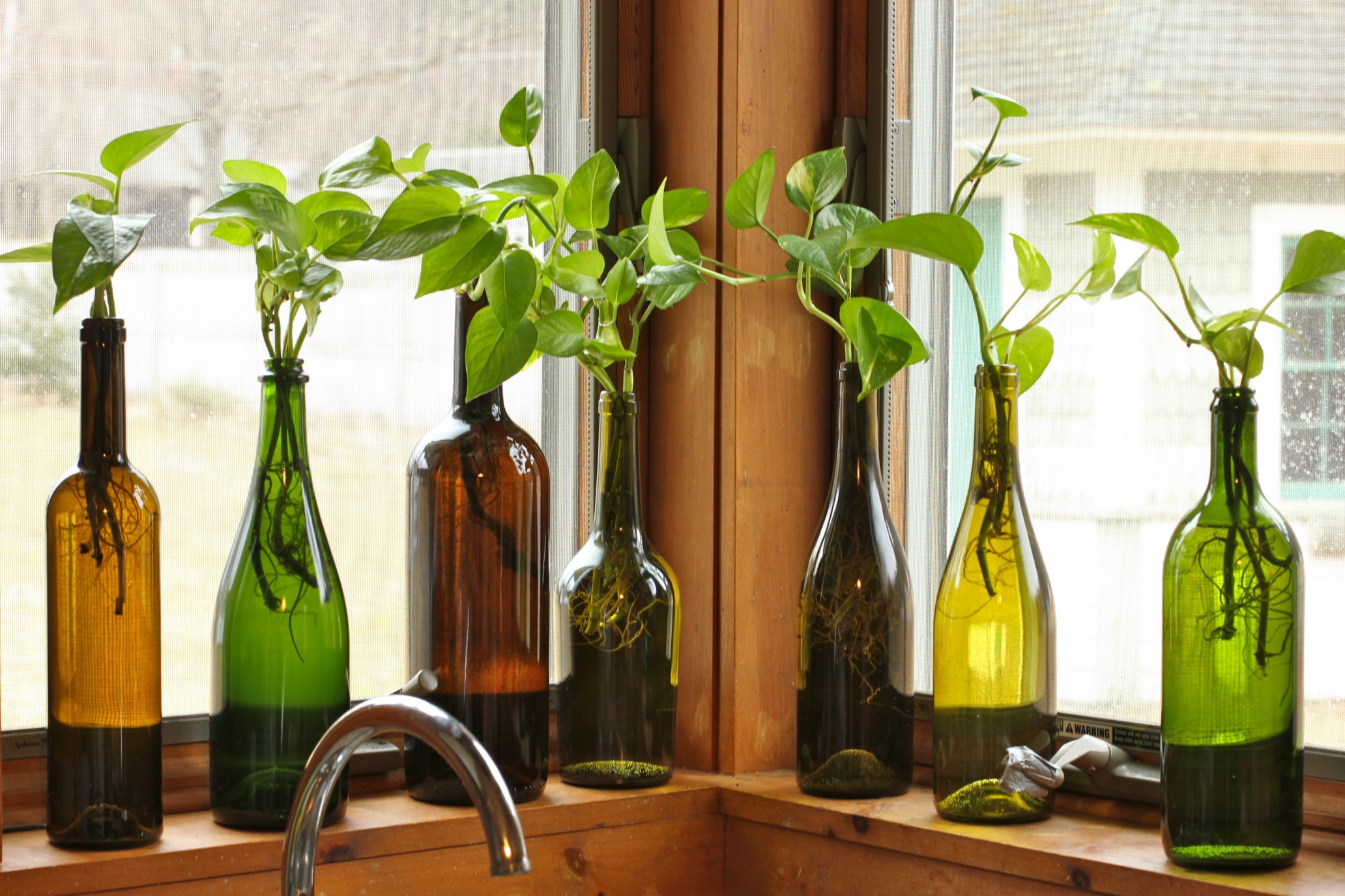 裝飾;空間;酒瓶;軟木塞