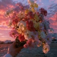 函館ガチャ情報