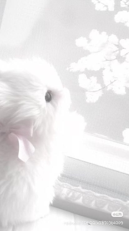𓈒♡𓈒♡ bun𓈒 acc + 𝚍𝚒𝚜 ney  ᛕ𓈒𝒥𝓊𝒹𝓎