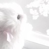 𓈒♡𓈒♡ bun𓈒 acc + 𝚍𝚒𝚜 ney  ᛕ𓈒𝒥𝓊𝒹𝓎