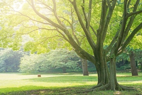 春生まれの赤ちゃんの名前 どうやって決めた 由来は