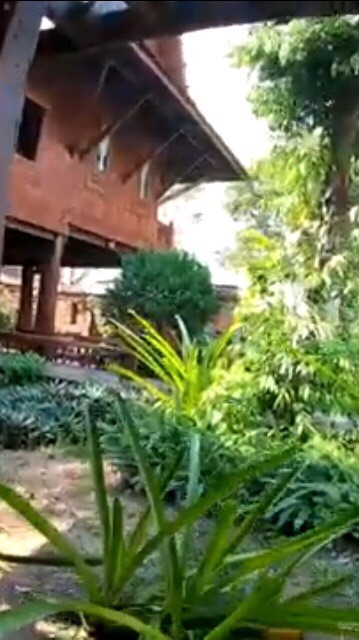 【โรลไทยย้อนยุค】