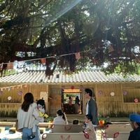 よみたん自然学校　ボランティア
