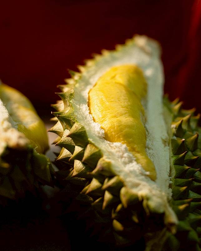 Siap Grak Benarkah Makan Durian Ketika Hamil Muda Dapat Membahayakan Janin