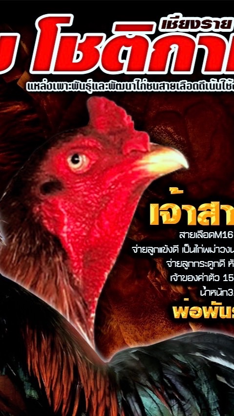 แบ่งปัน ฝากผสมแม่ จองลูกไก่ สายเลือด3ตันทางฟาร์ม
