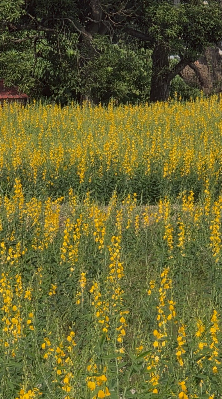 泰山農會活動公告