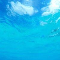 🌷悩み事・不安 何でも相談室🌷