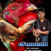 ซุ้ม โชคมีชัย ฟาร์ม.
