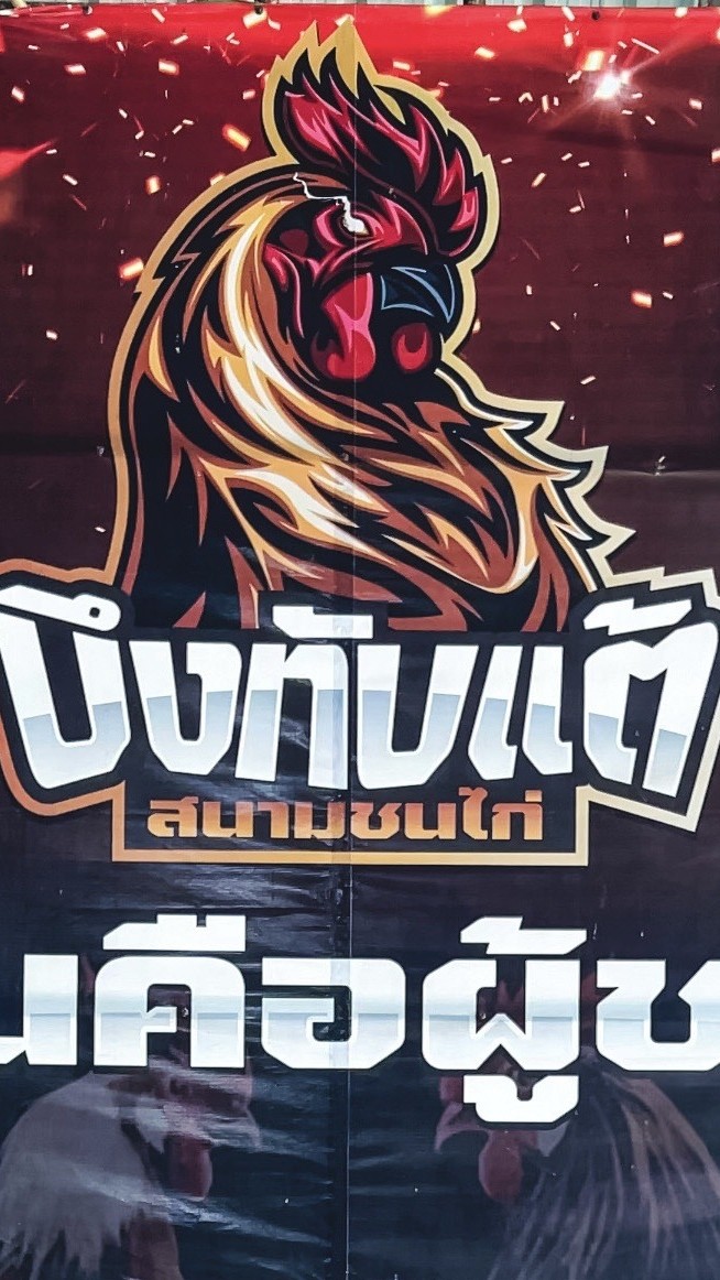 สนามชนไก่บึงทับแต้