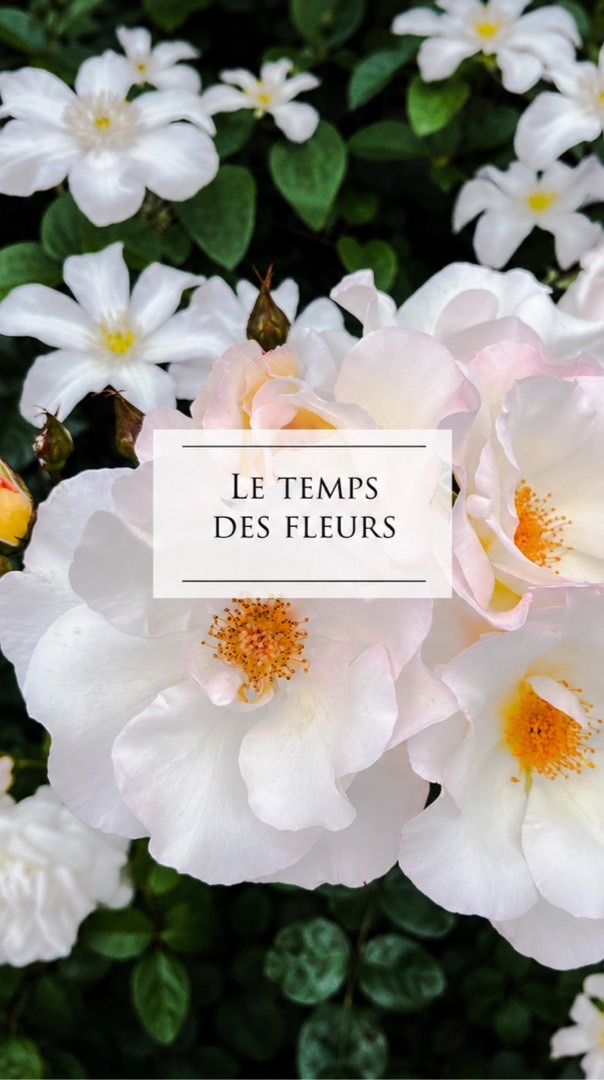 大人女性限定｜50〜60代 東京ランチ・カフェ・美術館・花巡り｜Le temps des fleur