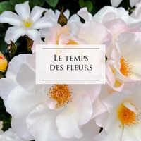大人女性限定｜50〜60代 東京ランチ・カフェ・美術館・花巡り｜Le temps des fleur