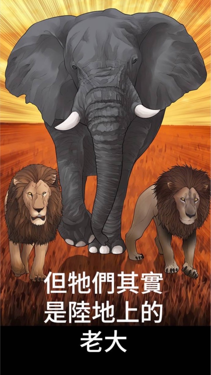 象群新手增肌減脂交流群