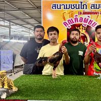 เพชรบ้านล่าง