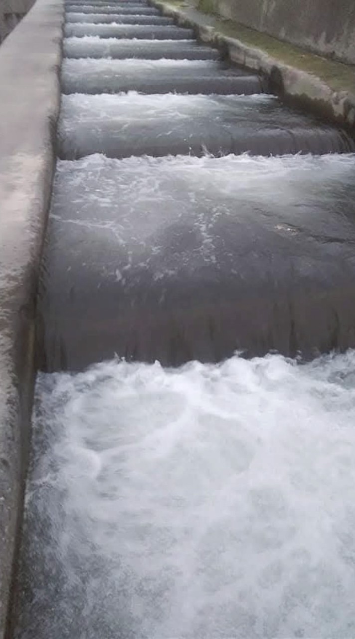 50+60+風吹心動 圓夢築夢 追風的歲月