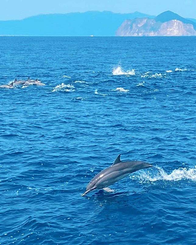 圖片來源：IG @cutball17