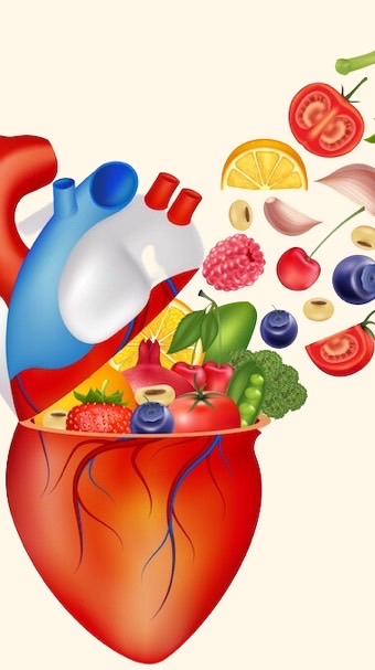 858-161G8 Nutrition and Health Food