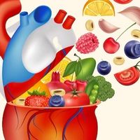 858-161G8 Nutrition and Health Food