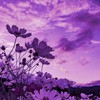 I’m all yours ： ヘタリア緩也