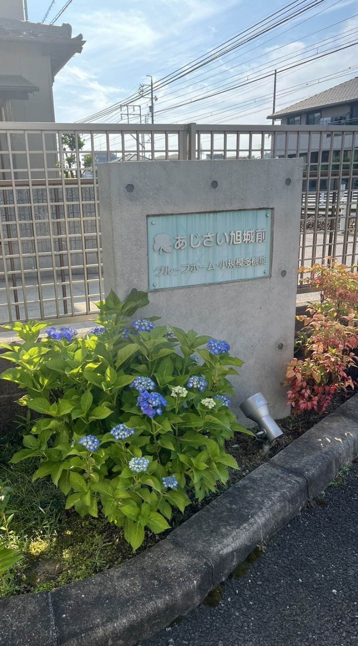 あじさい旭城前