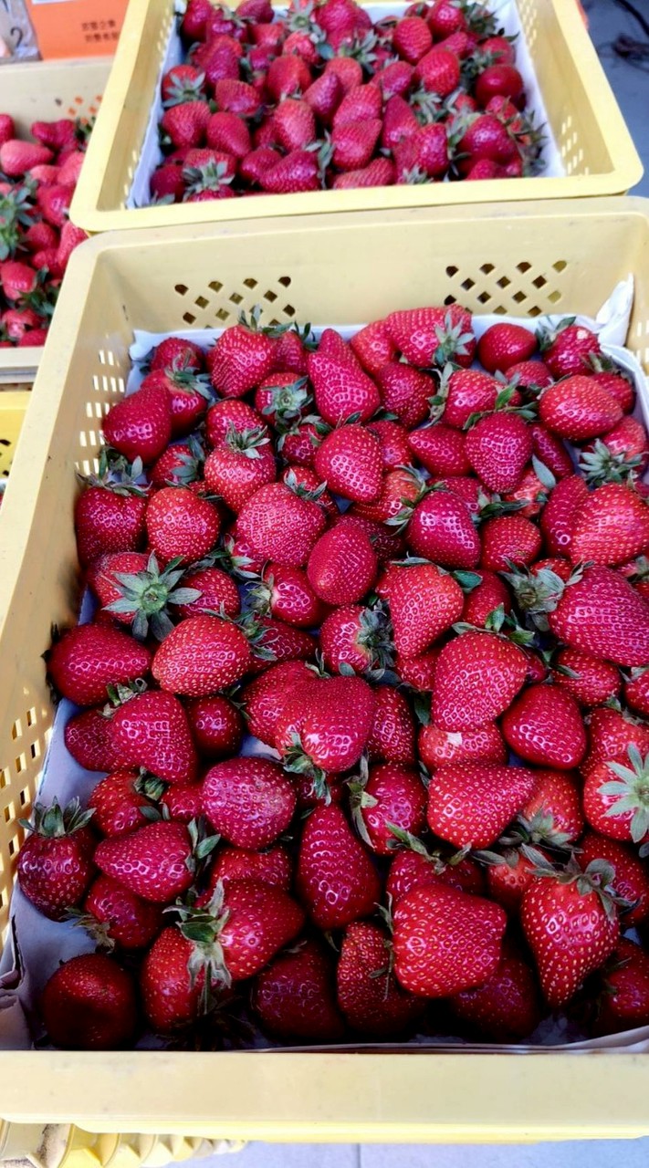 楠梓土庫自取點