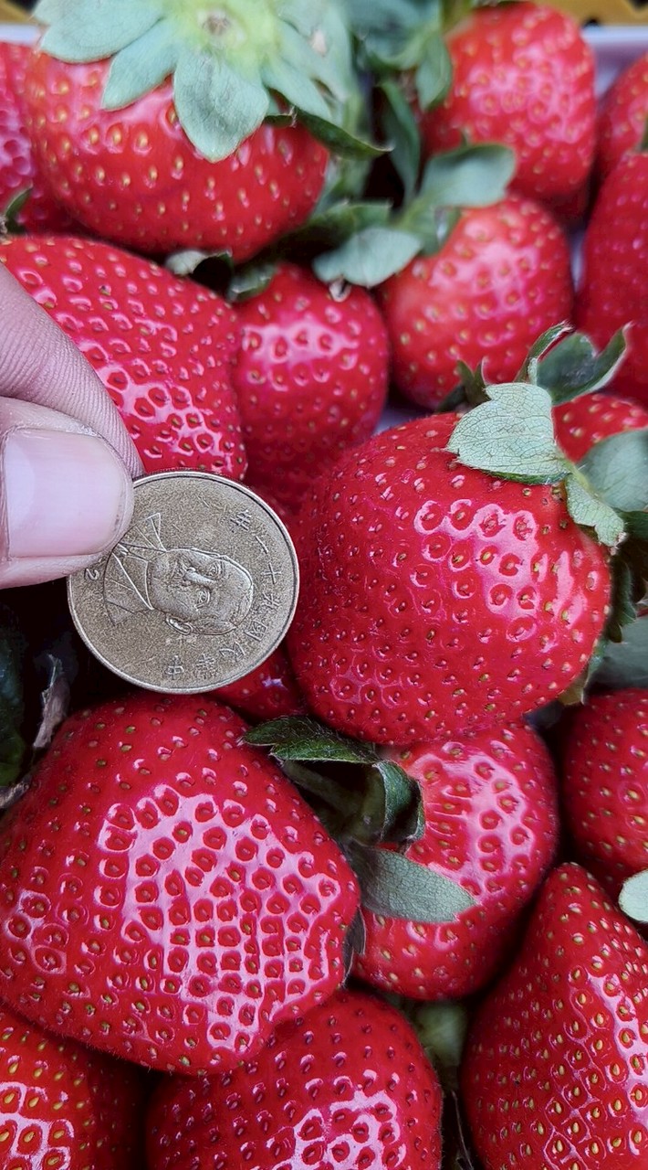 楠梓土庫(香蕉腳)自取點