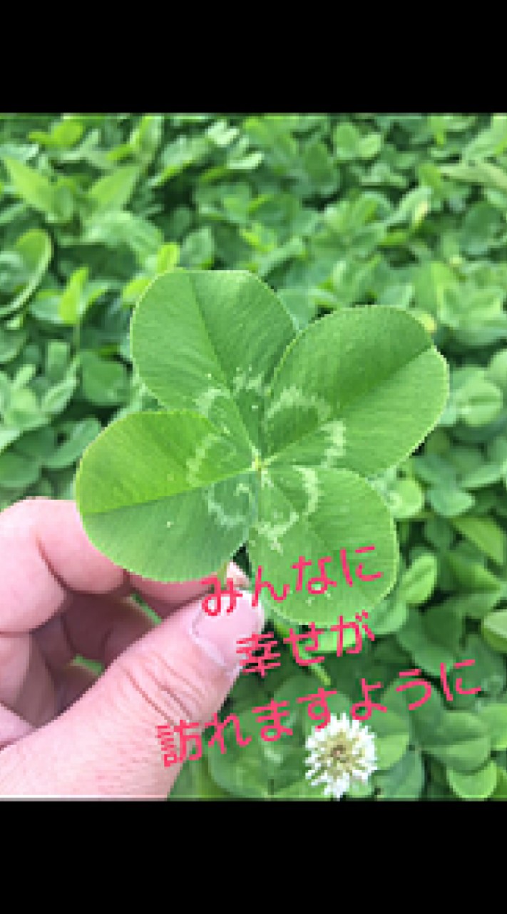 ☘️三つ葉(幸福のお部屋)のオープンチャット