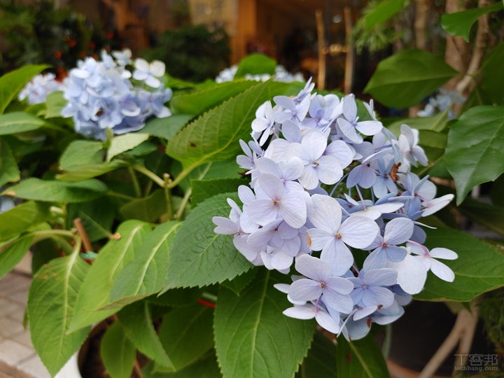 LG V60 ThinQ 5G review