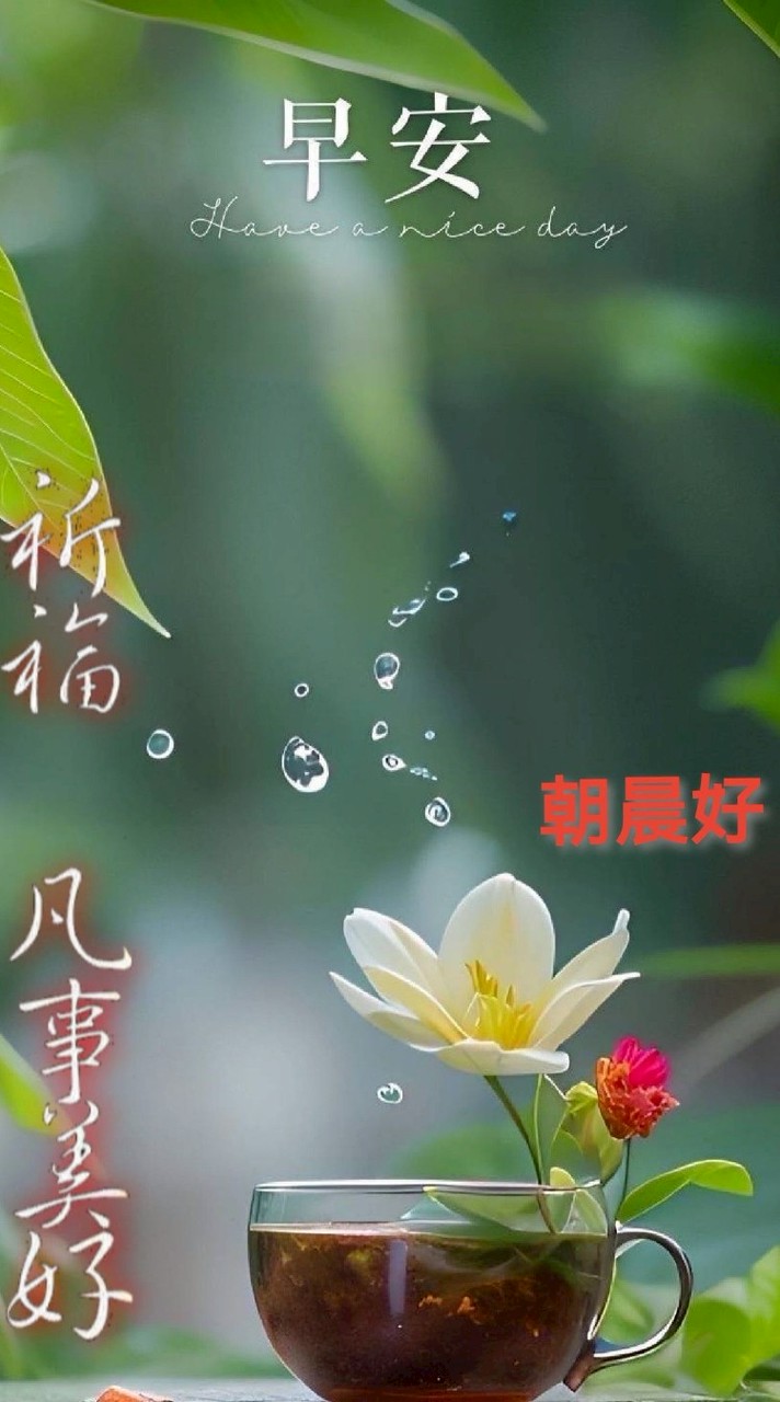 霞仕家庭