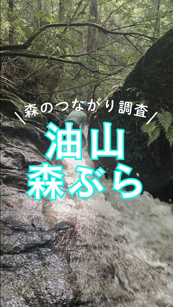 7月26日（日）油山で森ぶら