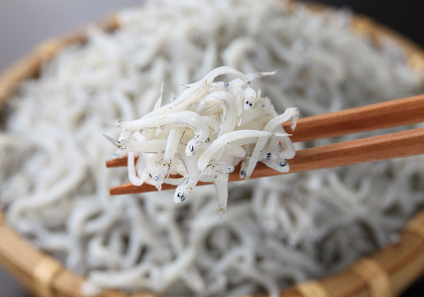 與龜山對望，頭城大溪 大溪漁港位在宜蘭縣頭城鎮，是宜蘭的第三大漁港，設有新舊港口，舊港口目前僅供漁民使用，新港口則有魚市場供漁民與民眾交易。大溪漁港多為當日往返，每天皆有新鮮漁獲入港，假日魚市更是人聲