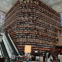 我會盯著你看書📖