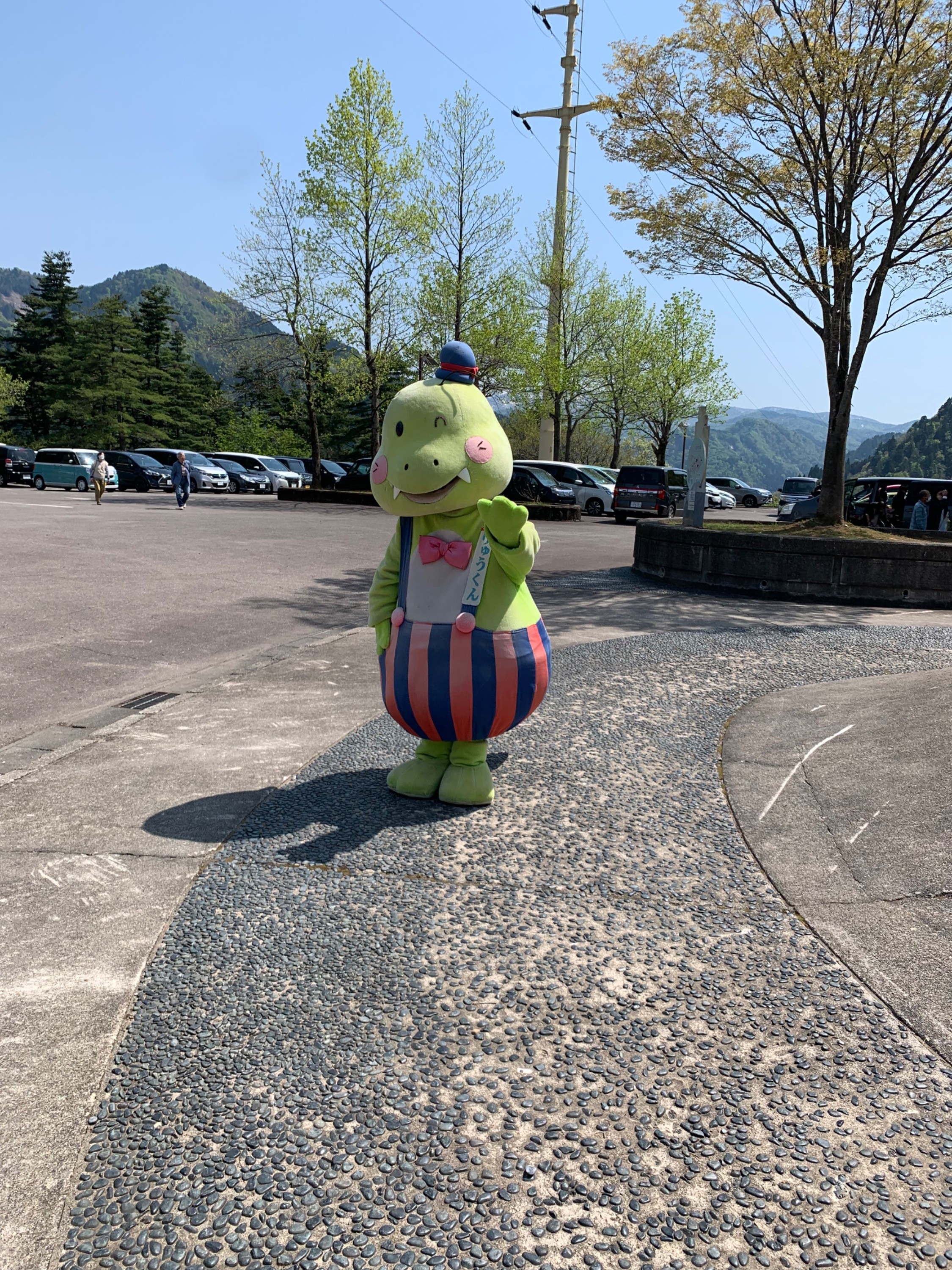 口コミの詳細 白山恐竜パーク白峰 桑島 博物館 By Line Place