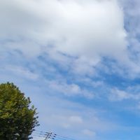 笹塚/代田橋/方南町/新代田　子育て情報共有
