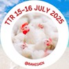 TTR 15-16 July 2025