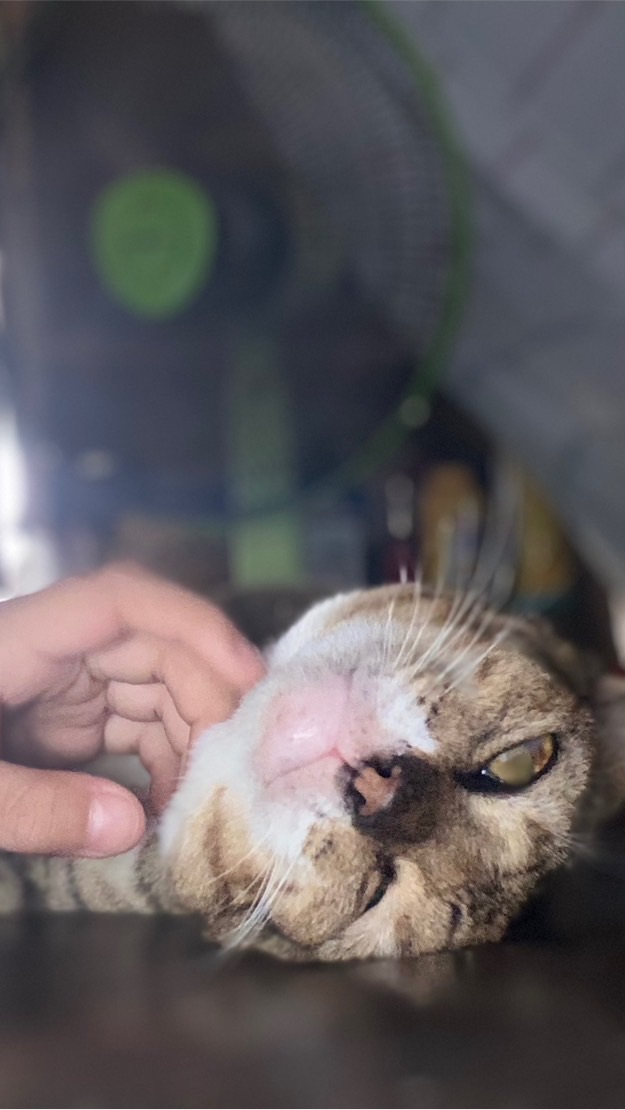 หาคนคุยด้วย