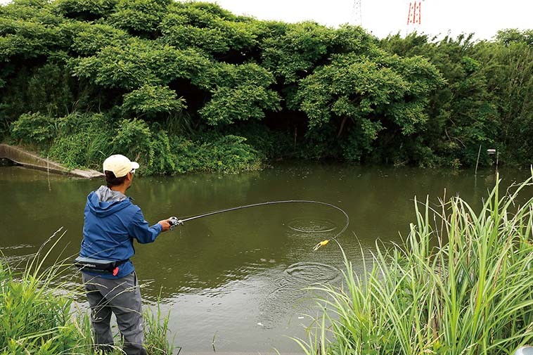 イヨケン流 フロッグ で狙うバス釣りおすすめロッド リール ルアマガ
