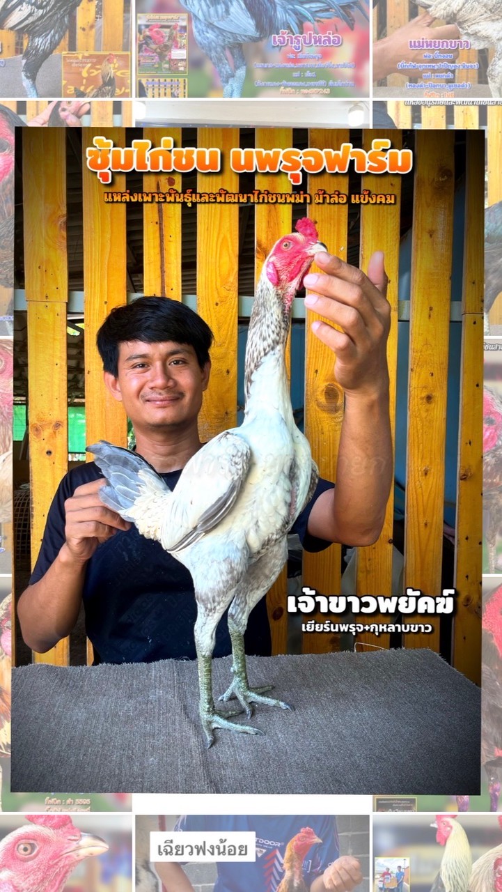 นพรุจฟาร์ม นครนายก