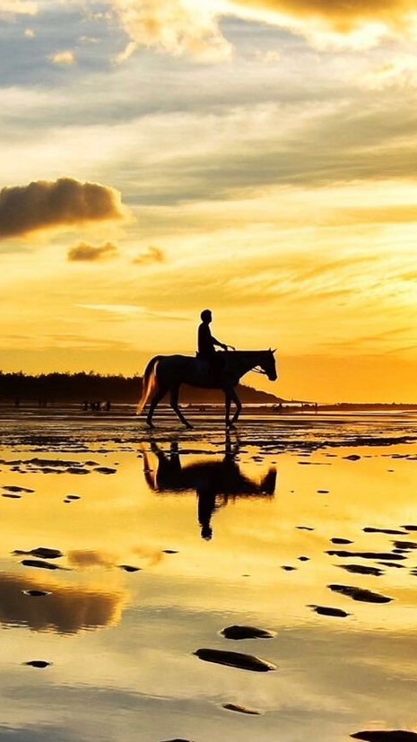 🐴綠野大家族 公告群🐴