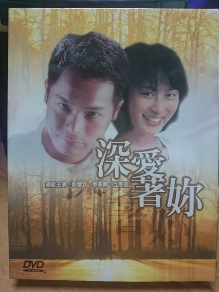 挖寶二手片-S44-010-正版DVD-港劇【深愛著妳 全18集2碟】-郭晉安 梨美嫻 丘惠璇