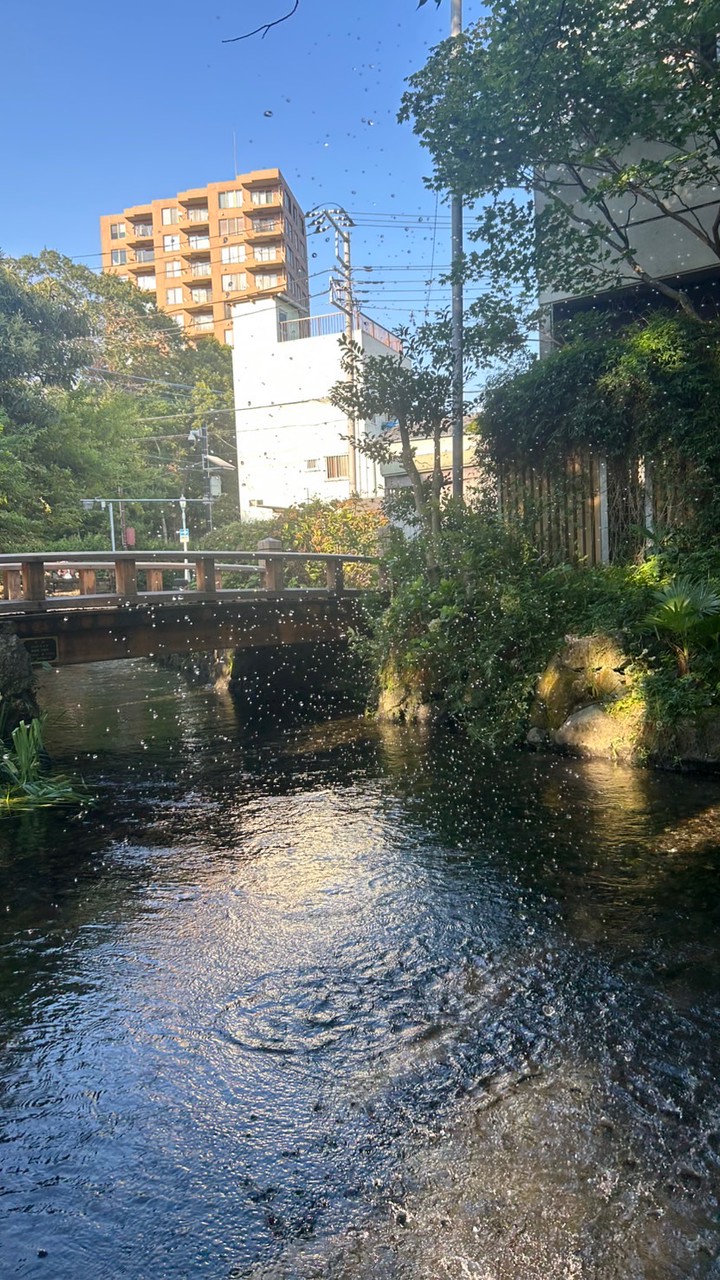 ٩( ᐛ )وにぼし帝国