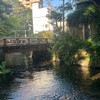 ٩( ᐛ )وにぼし帝国