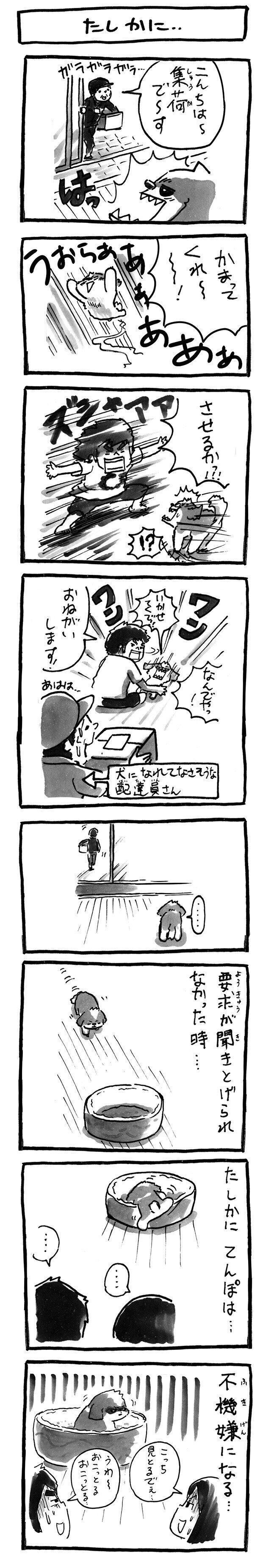 たしかに 分かりやすい犬のごきげん