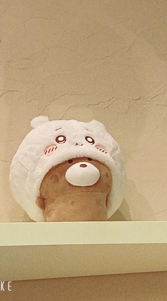 シール帳してる人〜🧸