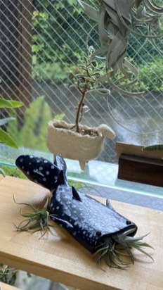アトリエ風雅へようこそ🤗