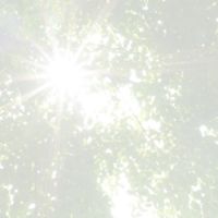 整う朝🍃思考・習慣・心のデトックス