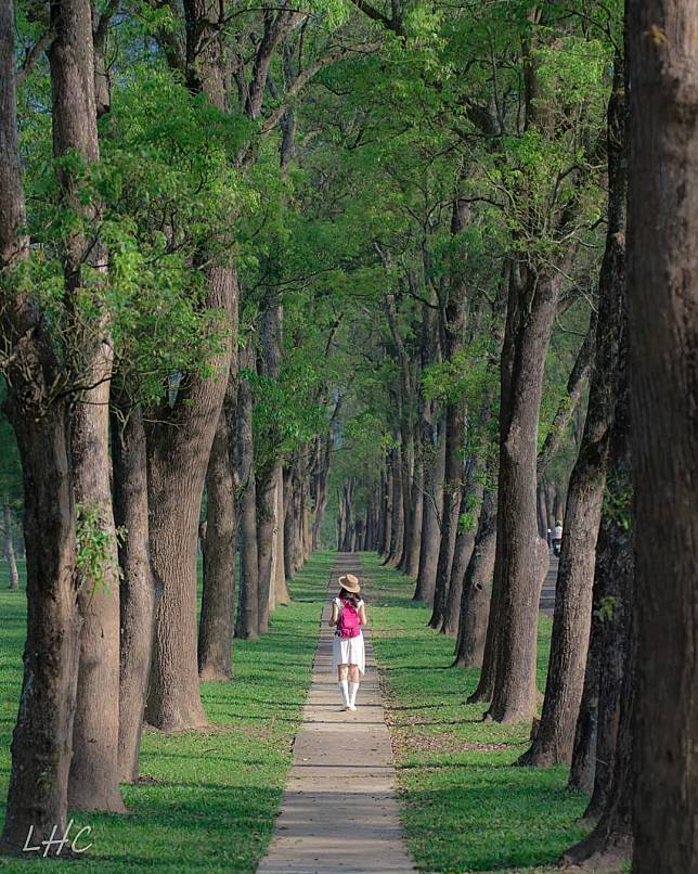 圖片來源：IG @jully426132