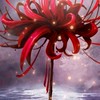 今天星期幾~（正經群