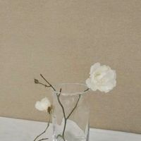 YC美妝批發專屬群♡