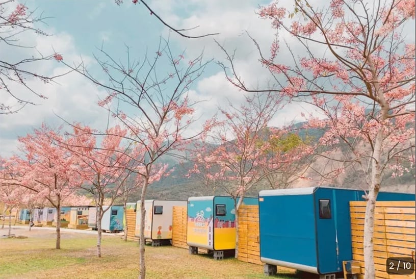 伴櫻花入睡！8間櫻花住宿推薦：奢華系露營、歐洲莊園風，一踏出房門就能將櫻花擁入懷